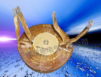 环型蘑菇视频网址官网