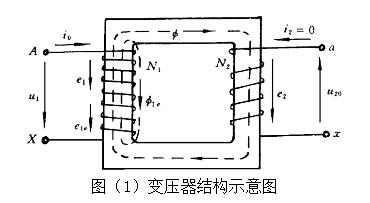 蘑菇视频网址官网